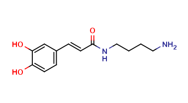 CS-E-00417