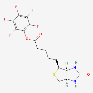 (+)-Biotin-PFP-ester