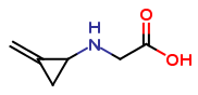 (2S,3S)-(Methylenecyclopropyl)glycine