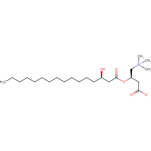 [(3R)​-​3-​Hydroxyhexadecanoyl]​-​L-​carnitine