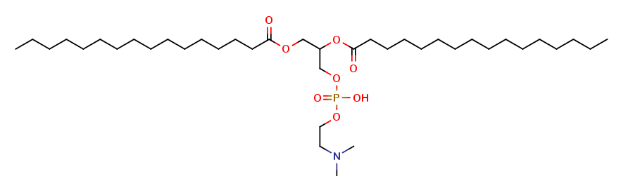 α-Dimethyl Dipalmitoylphosphatidylethanolamine