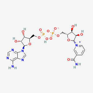 β-NICOTINAMIDE ADENINE DINUCLEOTIDE