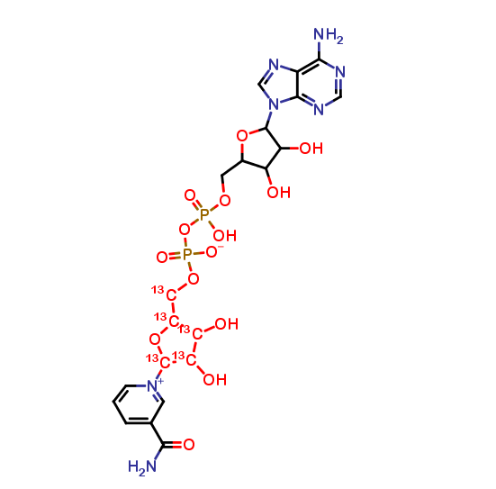 ß-Nicotinamide Adenine Dinucleotide-13C5 Ammonium Salt