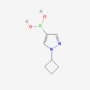 (1-Cyclobutylpyrazol-4-yl)boronic acid
