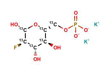 2-deoxy-2-fluoro-D-[UL-13C6]glucose-6-phosphate, dipotassium salt