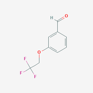 3-(2,2,2-Trifluoroethoxy)benzaldehyde