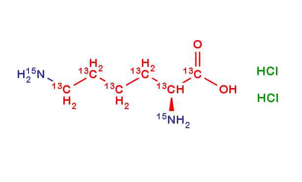 L-Lysine Dihydrochloride 13C6, 15N2