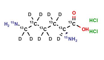 L-Lysine Dihydrochloride 13C6, D9, 15N2