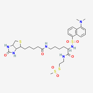 (N-Dansyl)biocytinamidoethyl Methanethiosulfonate