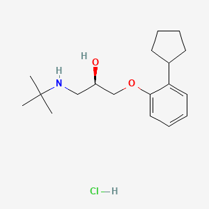 (R)-Penbutolol Hydrochloride