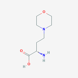 (S)-2-amino-4-morpholinobutanoic acid