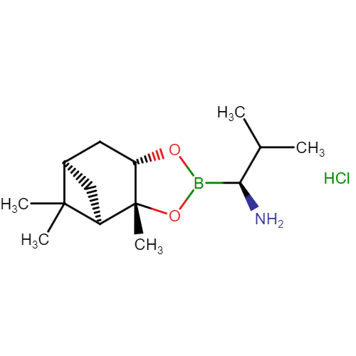 (S)-Borovaline-(-)-pinanediol-HCl