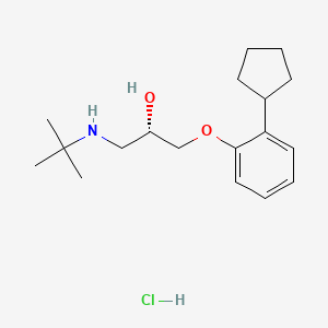 (S)-Penbutolol Hydrochloride