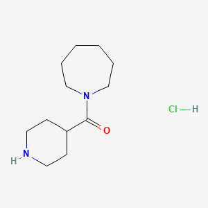 1-(Piperidin-4-ylcarbonyl)azepane hydrochloride