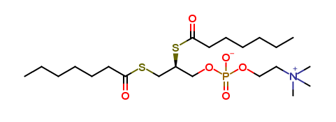 1,2-bis(Heptanoylthio)glycerophosphocholine