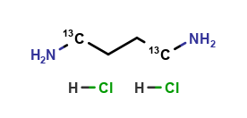 1,4-Diaminobutane-1,4-13C2 Dihydrochloride