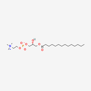 1-Myristoyl-sn-glycero-3-phosphocholine
