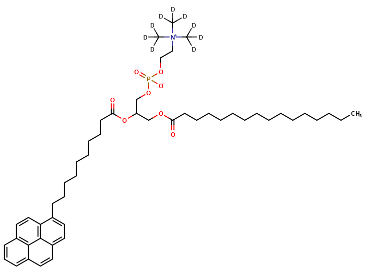 1-Palmitoyl-2-pyrenedecanoylphosphatidylcholine-d9