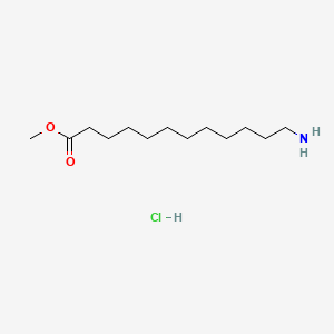 12-Amino-1-dodecanoic Acid Methyl Ester Hydrochloride Salt