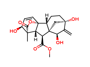 15ß-OH Gibberellin A3 Methyl Ester