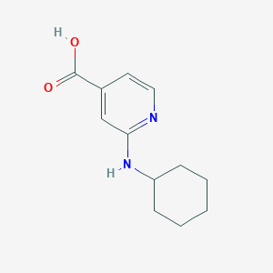 2-(Cyclohexylamino)isonicotinic acid