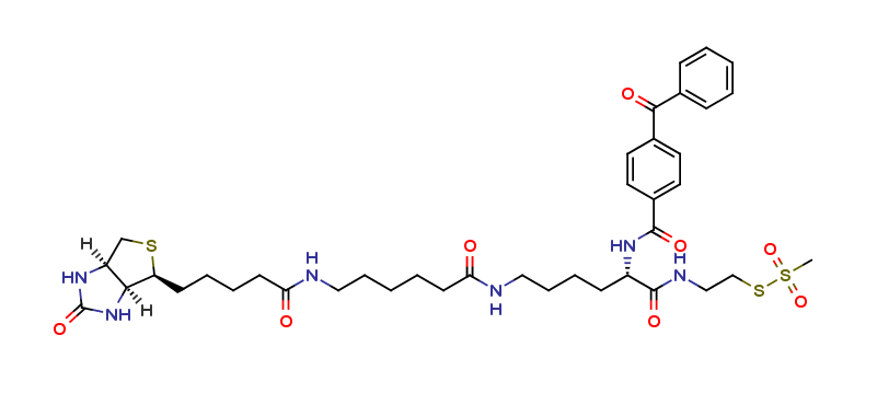 2-[Na-Benzoylbenzoicamido-N6-(6-biotinamidocaproyl)-L-lysinylamido]ethyl Methanethiosulfonate