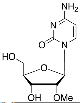 2'-O-Methyl Cytidine