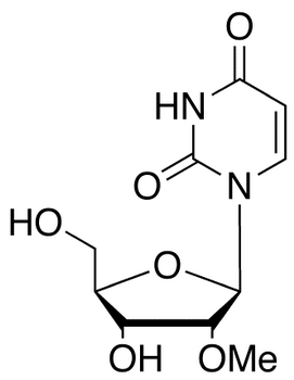 2'-O-Methyl Uridine