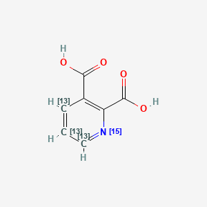 2,3-Pyridinedicarboxylic Acid-13C3, 15N