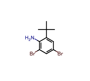 2,4-dibromo-6-(tert-butyl)aniline