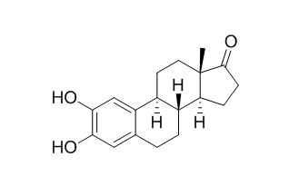 2-Hydroxy Estrone