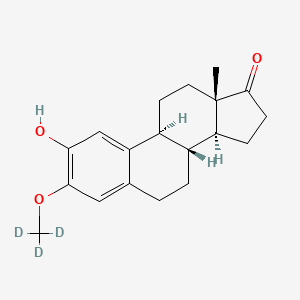2-Hydroxyestrone-3-methyl Ether-d3