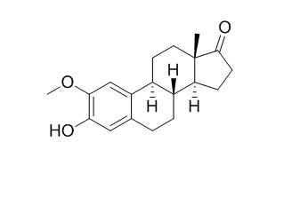 2-Methoxy Estrone