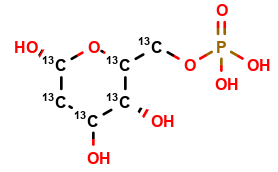 2-deoxy-D-[UL-13C6]glucose-6-phosphate (free acid)