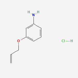3-(Allyloxy)aniline hydrochloride