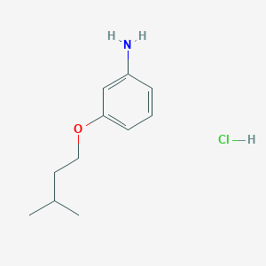3-(Isopentyloxy)aniline hydrochloride