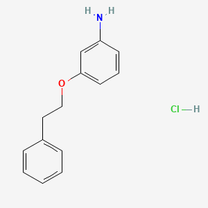 3-(Phenethyloxy)aniline hydrochloride