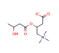 3-Hydroxybutyrylcarnitine