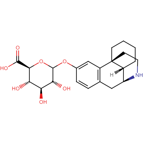 3-Hydroxymorphinan O-glucuronide