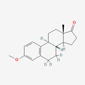 3-O-Methyl Estrone-d5 (Major)