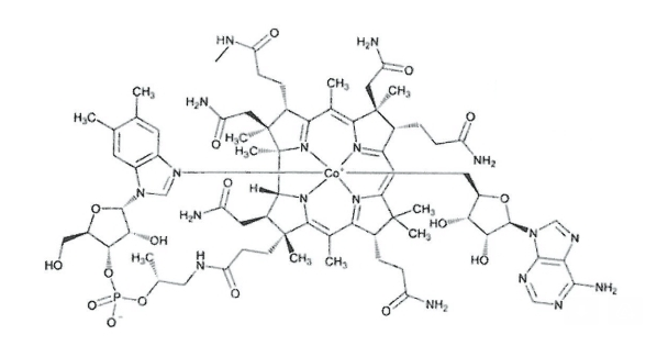 34-methyl Coenzyme B12