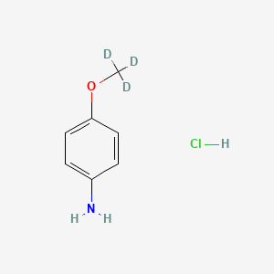 4-(Methoxy-d3)aniline hydrochloride