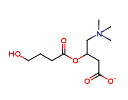 4-Hydroxybutyryl-L-carnitine