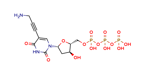 5-(3-Amino-1-propyn-1-yl)-2-deoxyuridine 5-(Tetrahydrogen Triphosphate)