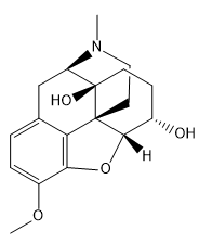 6a-Oxycodol