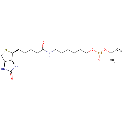 6-N-Biotinylaminohexyl Isopropyl Hydrogenphosphonate