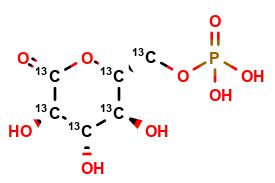 6-Phosphoglucono-δ-lactone-13C6