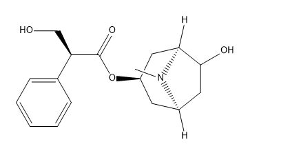 7-Hydroxy Hyoscyamine