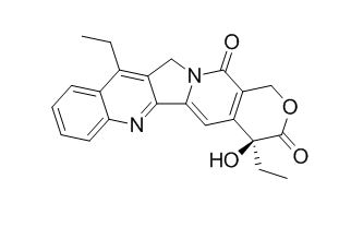 7-ethyl Camptothecin