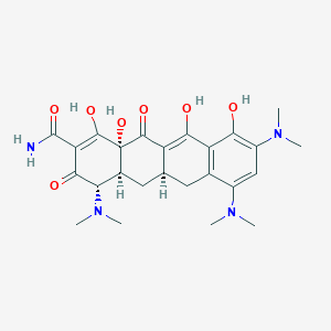 9-Dimethylamino Minocycline